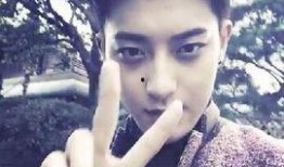 exo鹿晗队友爆料视频,独家幕后故事大公开